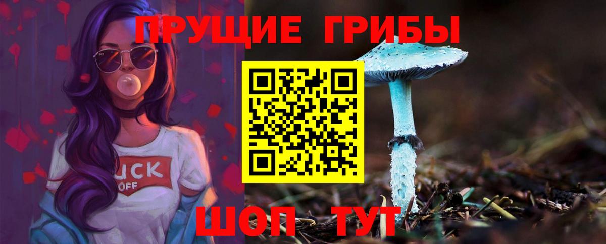 Галлюциногенные грибы прущие грибы Белогорск